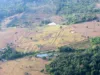 Laserele dezvăluie aproape 400 de structuri ascunse ale unei civilizații amazoniene care ar fi numărat milioane de oameni structuri ascunse în Amazon