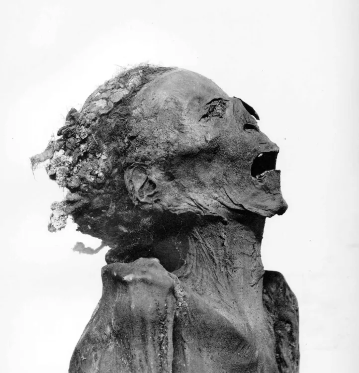 Mumia țipătoare