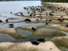 Țara cu 130 de zile de ploaie pe an, obișnuită să lupte cu inundațiile, se confruntă cu seceta. Ce se întâmplă în Europa din cauza căldurii extreme secetă Europa