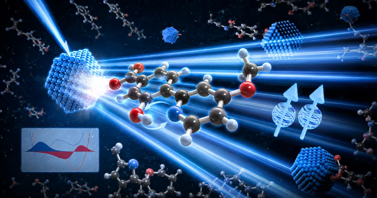 efect cuantic transfer energie