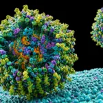 vaccin ARNm melanom