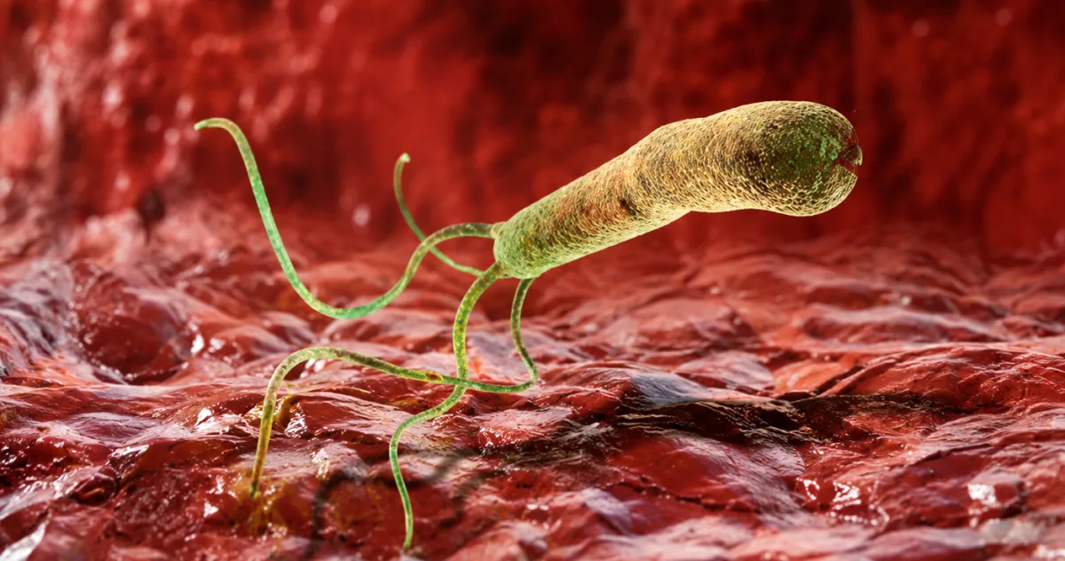 efectele medicamentelor asupra microbiomului intestinal
