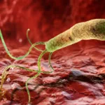 efectele medicamentelor asupra microbiomului intestinal