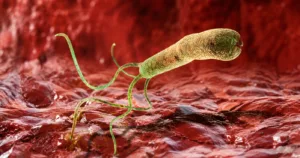 efectele medicamentelor asupra microbiomului intestinal