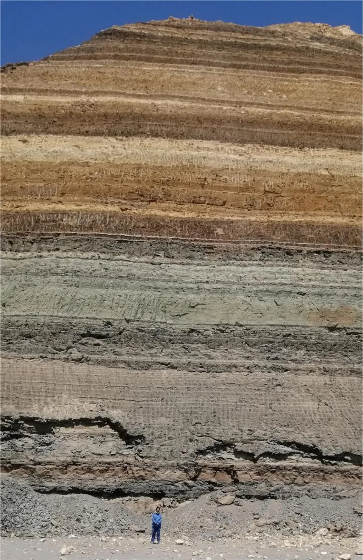 sedimentul egiptean în care au fost descoperite dinții de rechin