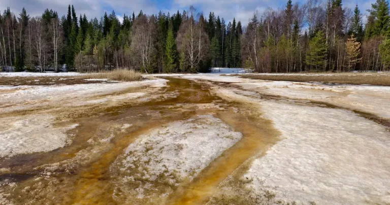 Maxime de 35 °C în Siberia: temperaturile din Cercul Polar Arctic au scăpat de sub control