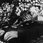 cadavrul lui Stalin