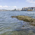 Stânca Foametei din Budapesta