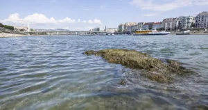 Stânca Foametei din Budapesta
