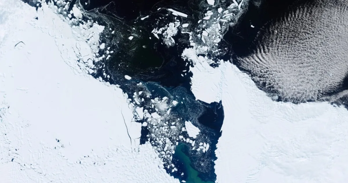pierdere gheata calote glaciare