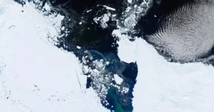 pierdere gheata calote glaciare