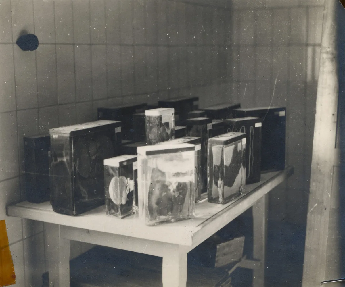 lagărul Buchenwald