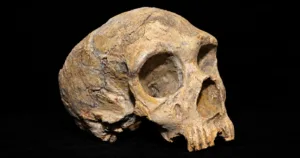 primii neanderthalieni