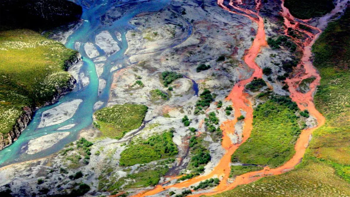 metale toxice arctica