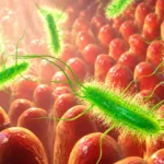 argirina B împotriva C. difficile