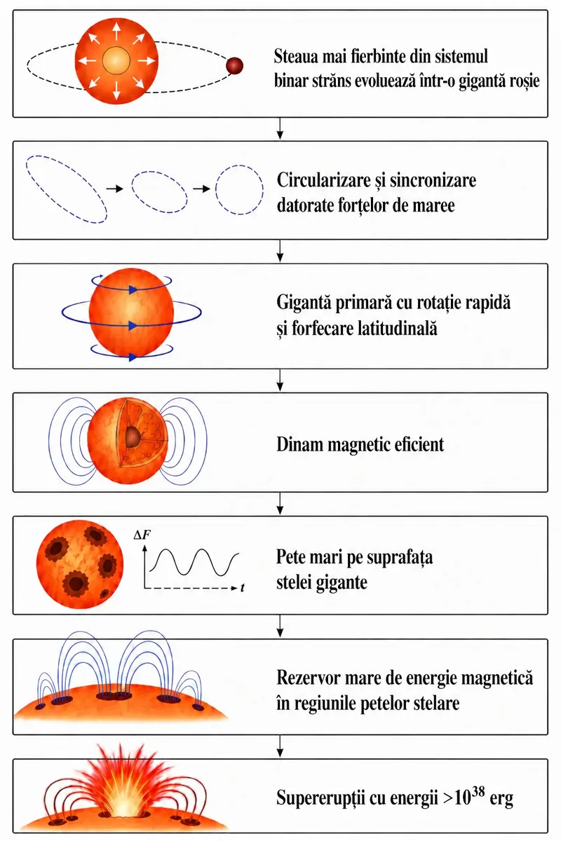 Ilustrație schematică a evoluției sistemului binar strâns KIC 2852961, care a condus la formarea celor mai mari supererupții solare