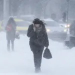 semne de iarnă grea