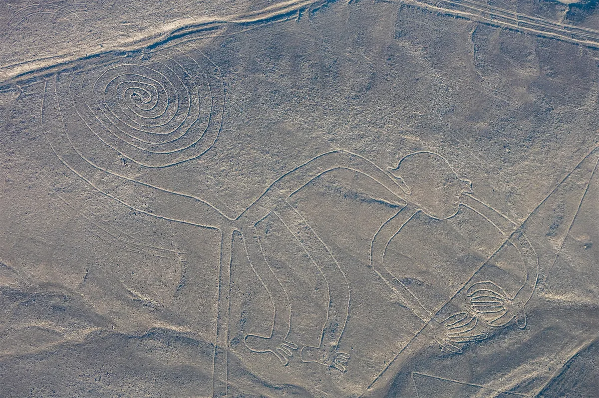 Fotografie aeriană a uneia dintre liniile de la Nazca, realizată în iulie 2015, care prezintă desenul cunoscut sub numele de „maimuța”
