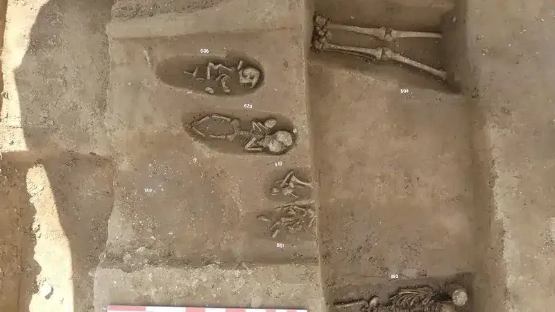 morminte franta1