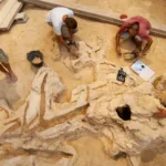 neanderthalieni unelte din lemn