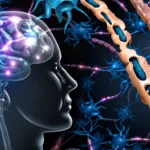 mielina și declinul cognitiv
