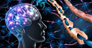 mielina și declinul cognitiv